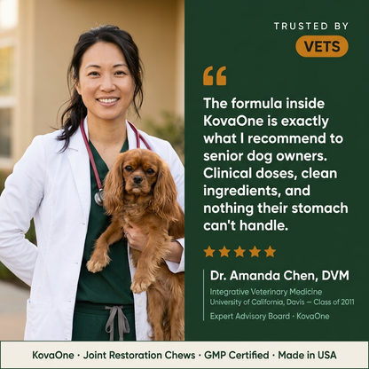 KovaOne Joint Restoration Chews